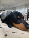 BLUE TOKYO PREMIUMの面接官