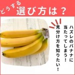ハズレの「バナナ」を買わない選び方！のアイキャッチ画像