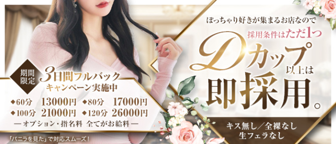 ボディ・スパ 堺 (BODY SPA)のぽっちゃり求人画像