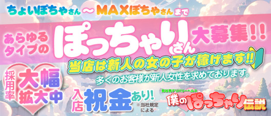 僕のぽっちゃり伝説