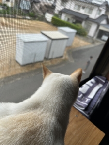 二重跳び🌀出来たらHEROだったよね😆のアイキャッチ画像
