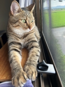 写メ日記の持つ意味😌のアイキャッチ画像