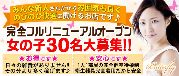 バタフライ