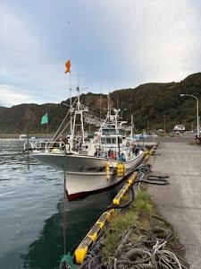 イカメタル第2戦🦑🎣のアイキャッチ画像