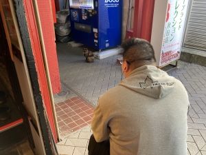 🌟スタッフYに睨まれた猫🌟のアイキャッチ画像