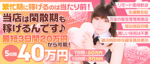 バニーコレクション新潟