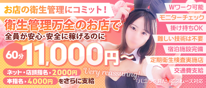 バニーコレクション新潟の求人情報