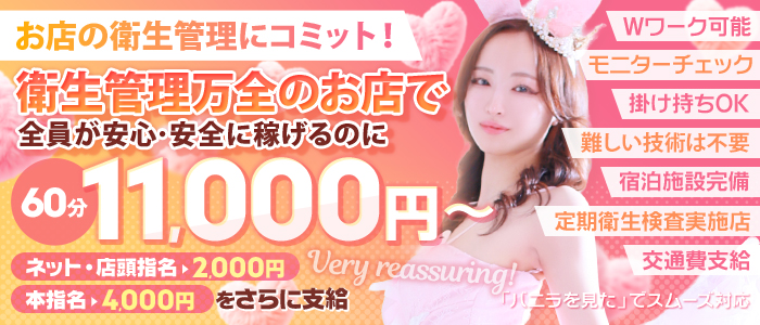 バニーコレクション新潟の求人情報