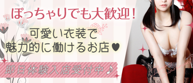 ドMなバニーちゃん 下関店のぽっちゃり求人画像
