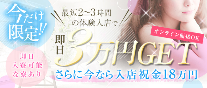 BVLGAL(ブルギャル)のぽっちゃり求人画像