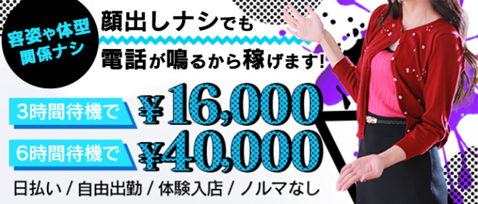 Aliceのぽっちゃり求人画像