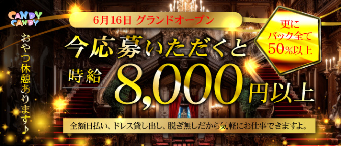 Candy Candyのぽっちゃり求人画像