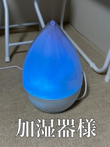 加湿器様✨のアイキャッチ画像