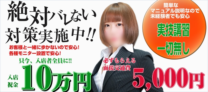 女教師の秘密の求人画像