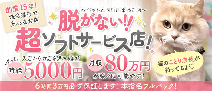Cawaiiハイ！スクールリターンズ秋葉原校