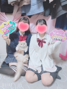 今日の店長(猫)のアイキャッチ画像