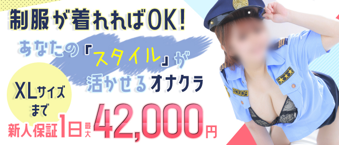 パイパイポリスの求人情報