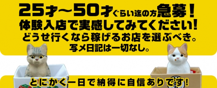 セレブな奥様