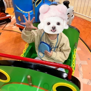 トーマスタウン凱旋！！のアイキャッチ画像