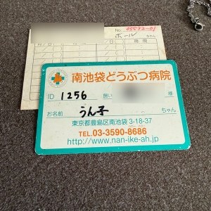 ビーストテイマーになりたい。のアイキャッチ画像
