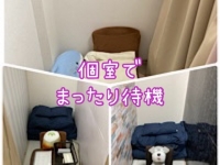 新潟長岡ちゃんこで働くメリット7