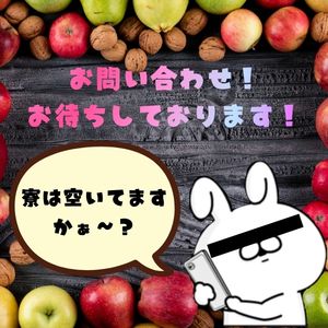 出稼ぎ女の子へ！寮の空状況！！のアイキャッチ画像