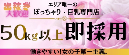 京都福知山ちゃんこ