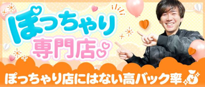 東広島ちゃんこのぽっちゃり求人画像