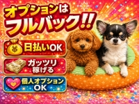 ちゃんこ四條畷大東店で働くメリット7