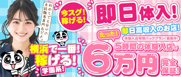 ちぇっくいん横浜女学園の体験入店求人画像