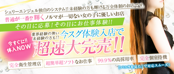 シェリーエンジェル(ｴﾝｼﾞｪﾙｸﾞﾙｰﾌﾟ)のぽっちゃり求人画像