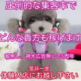 ☆【チップ制度導入店】【病院と提携】性病検査が超格安!!お電話後すぐ♪面接頂いた方積極採用優遇制度はじめました!!!☆のアイキャッチ画像