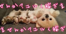【チップ制度導入店】【採用率99％】貴女の人生を応援します！未経験・容姿に自信がない方も大歓迎！のアイキャッチ画像