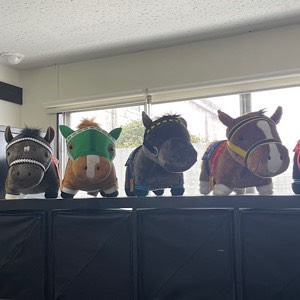 年齢が気になっている方へのアイキャッチ画像