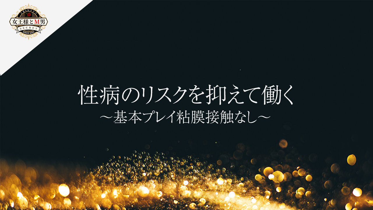 千葉SMクラブ女王様とM男の求人動画