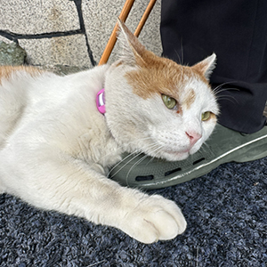 お客様との心地よい時間を大切に😊のアイキャッチ画像