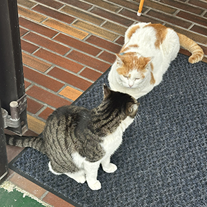 働きやすさはお客様層で決まります( &bull;̀ &omega; &bull;́ )✧のアイキャッチ画像