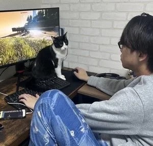 猫と趣味の時間が息抜きというか生命線wwwのアイキャッチ画像