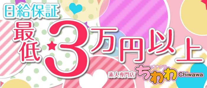 ちわわ
