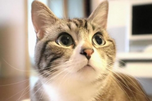 辞めるときに、こんなものをもらいました&hellip;！のアイキャッチ画像