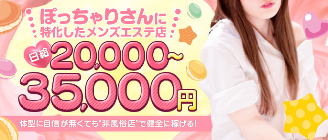 ラブリーシュシュのぽっちゃり求人画像