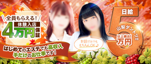 シンデレラエステ