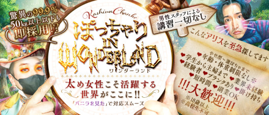 千葉柏ちゃんこ