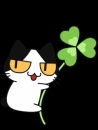 Cloverの面接官
