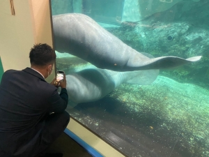 高松市屋島水族館！！のアイキャッチ画像