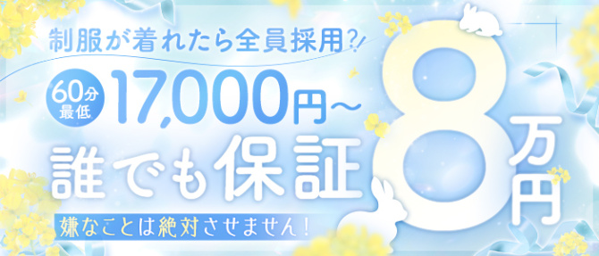 CLUB(クラブ)バニーのぽっちゃり求人画像