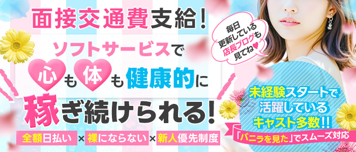 CECIL (セシル)の未経験求人画像