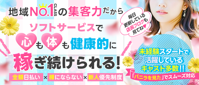 CECIL (セシル)の求人情報