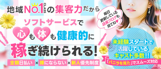 CECIL (セシル)の求人情報