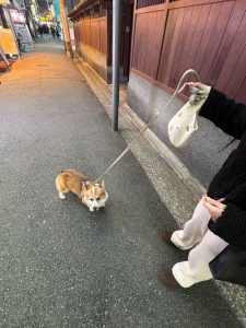 日帰りOK・交通費ゼロ・高収入。福岡出稼ぎの正解ここです💡のアイキャッチ画像